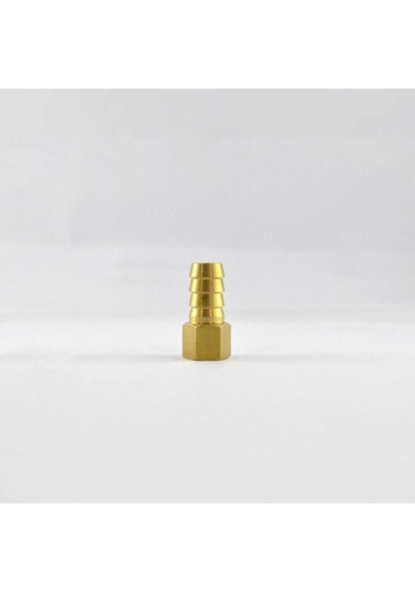Brio Hava Hortum Dişi Rekoru 1/4 12mm 2 Adet 1/4