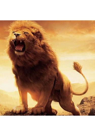 Homyl 3d Hayvan Duvar Dekor Goblen Yatak Odası Oturma Aslan-l