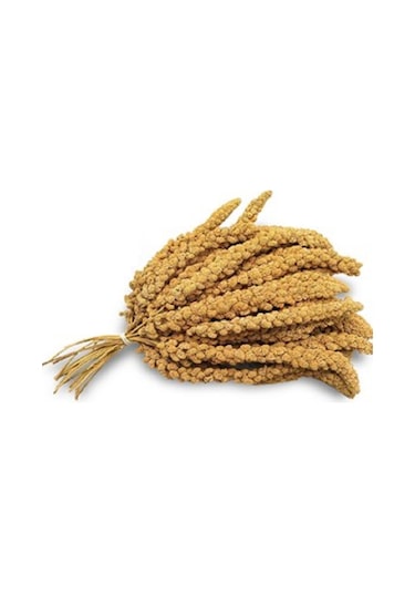 Doğal Dal Darı 250 Gr