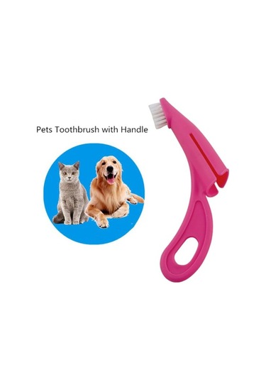 River World Köpekler İçin Diş Fırçası