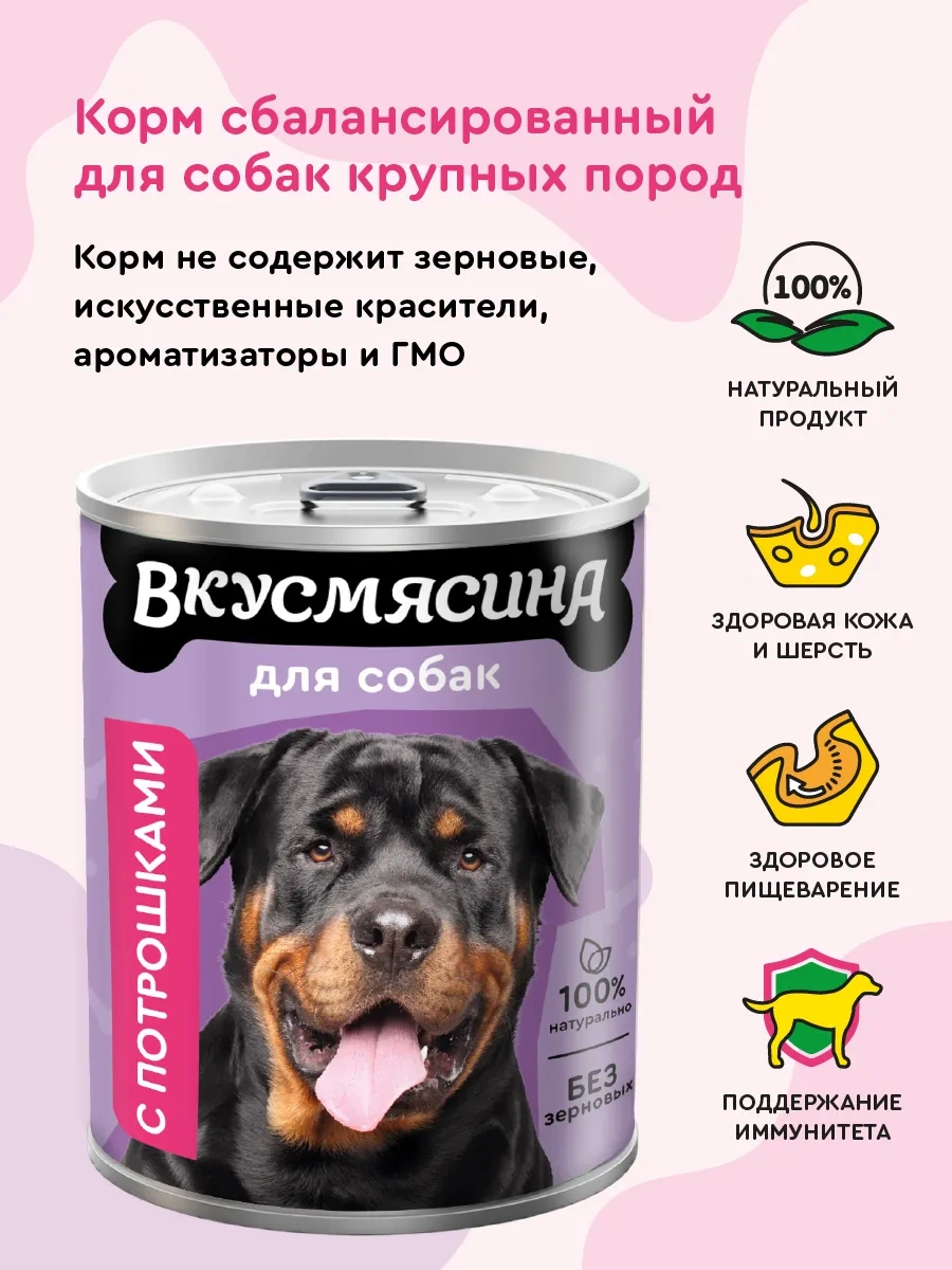 Vkusmasina 850 G 6 Adet İç Organlı Yaş Köpek Maması 9996704