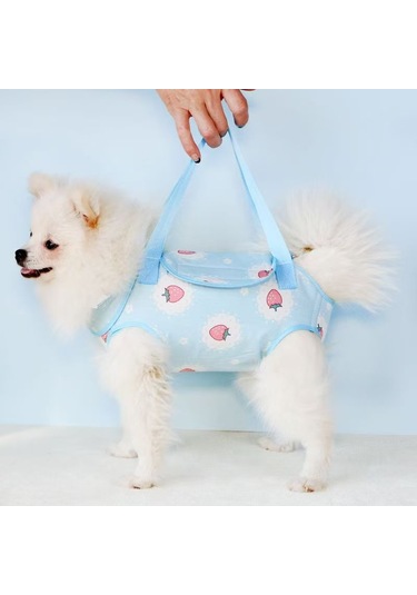 Seigawa Çok Fonksiyonlu Evcil Hayvan Taşıma Çantası