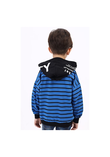 Toontoy Erkek Çocuk Speaker Baskılı Sweatshirt Saks