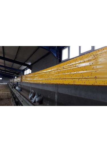 Karasinek Tuzagı Sinbant 15Cmx100 Metre