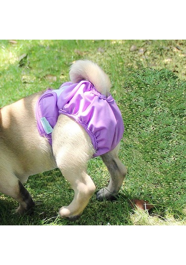 Pet Fizyolojik Pantolon Pet Su Geçirmez Külot, Boyut: S Mor