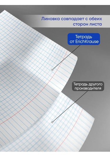 Erichkrause Kareli Defter, 24 Yaprak, 10 Adet 11818125