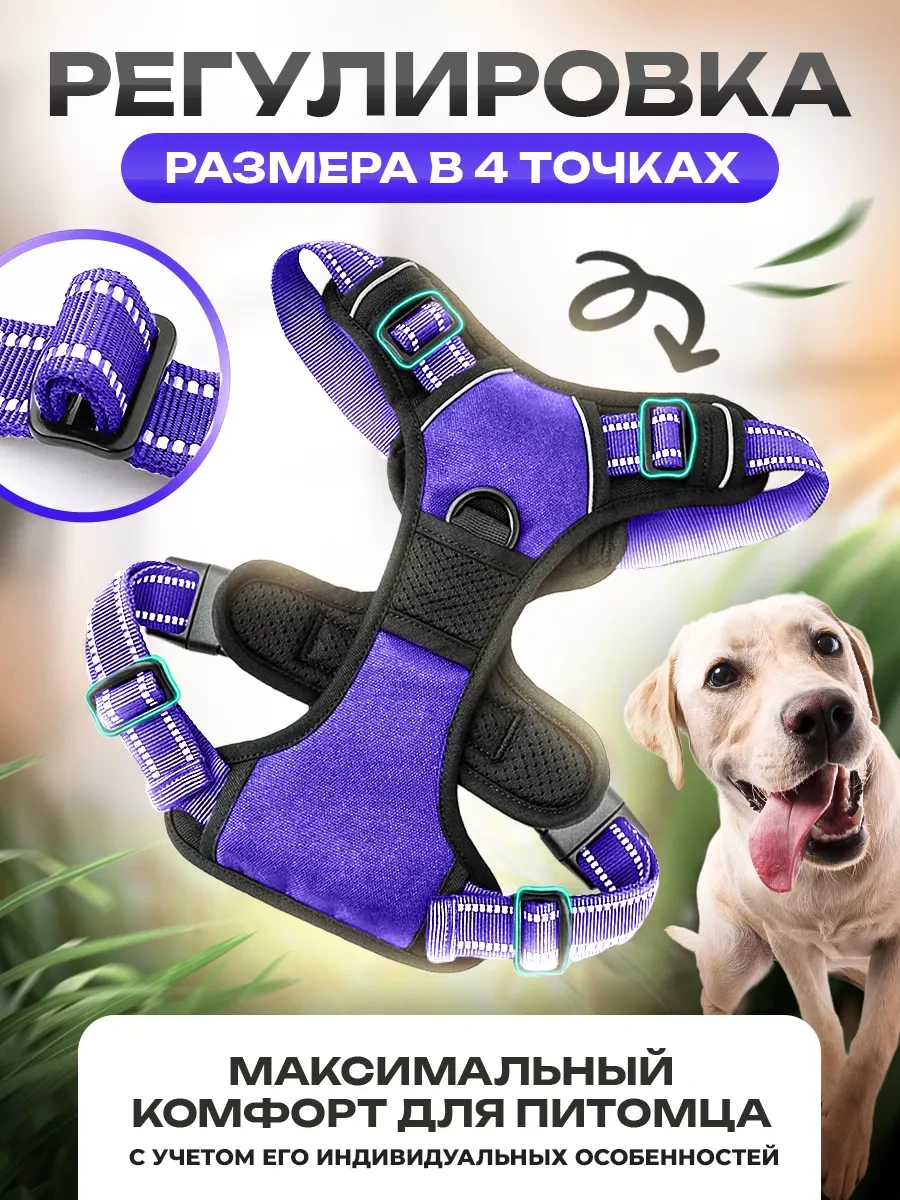Petfort Orta Ve Büyük Irk Köpekler İçin Anatomik Koşu Kayışı 175517318 Violet