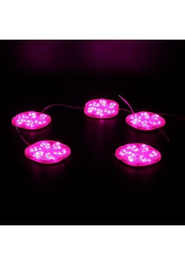 Powermaster Pm-14709 12 Volt 3 Watt Pembe Sabit 6565-2835 Modül Led 65x65x12mm