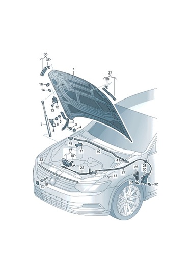VW Passat B8 - B9 Kaput Amortisörü 3G0823359 - 3G0823359A
