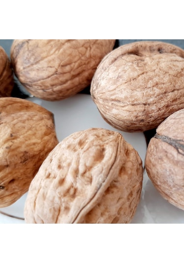 Kabuklu Ceviz Süper 1 KG