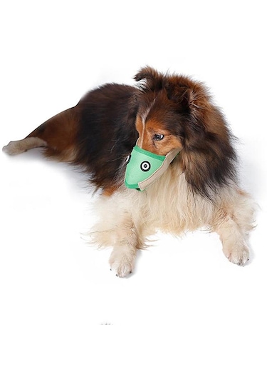 Homyl Pet Köpek Namlu Ayarlanabilir Ağız Maskesi Anti L-yeşil