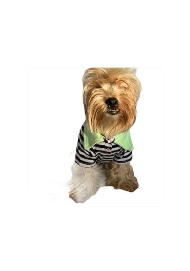 Kemique Grass Hopper Stripe Polo Yaka Köpek Tişörtü