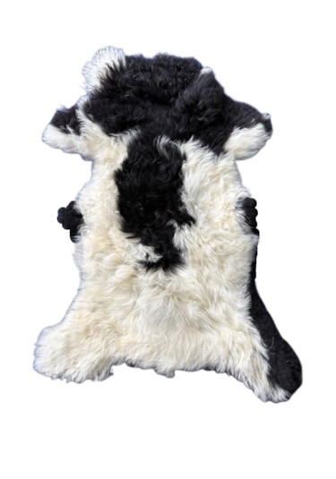 Gerçek Uzun Tüylü Koyun Postu - Naturel Uzun Tüylü Koyun Postu - Doğal Post Paspas Çok Renkli