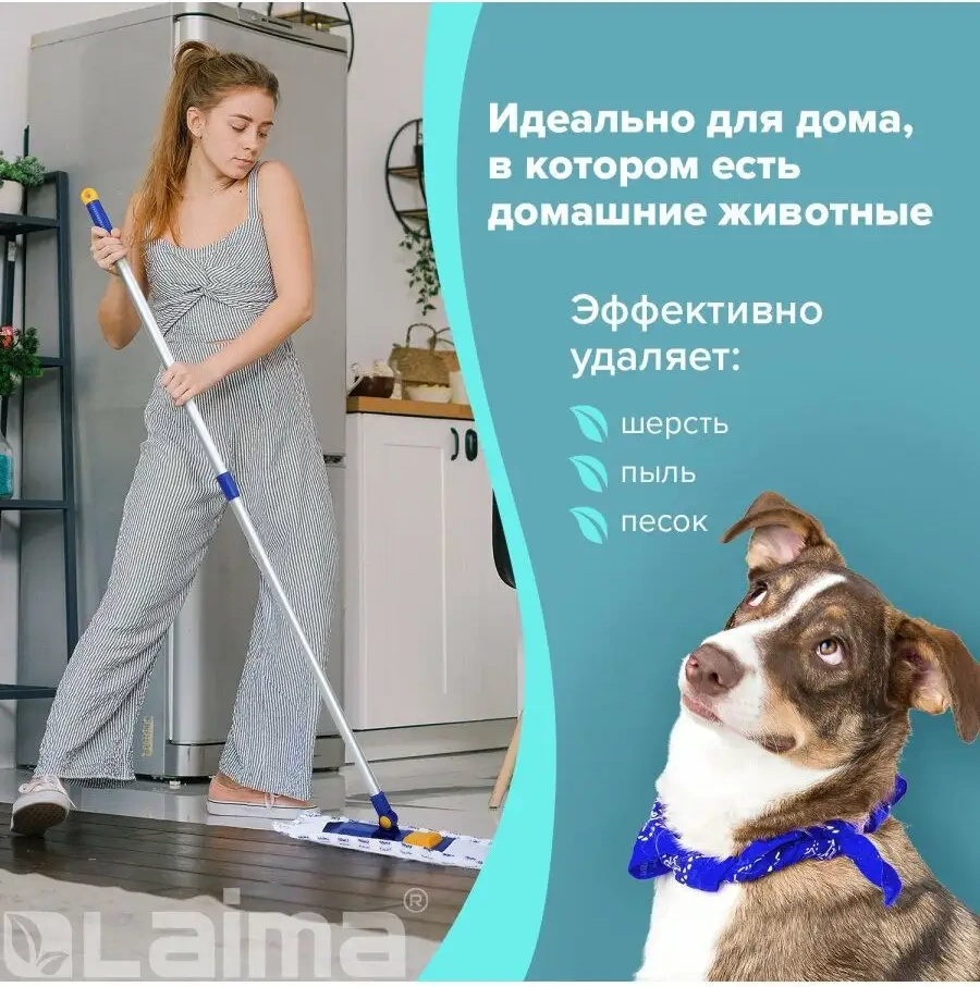 Laima 40 Cm Flint Ağırtmalı Paspas, 130 Cm Teleskopik Sap 13855041