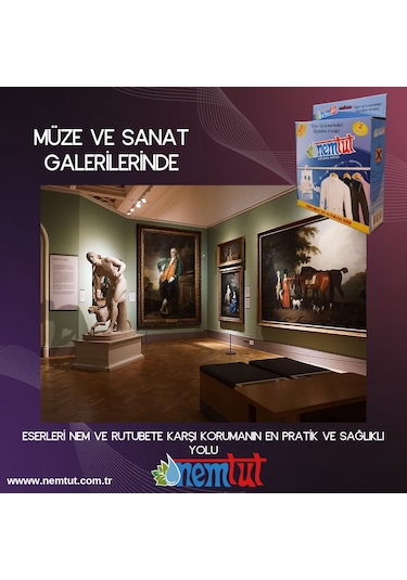 Nem Alıcı Rutubet Emici Koku Giderici Korozyon Önleyici 10 Kutu