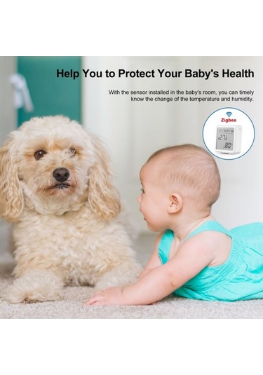 Supermarket1 Zigbee3.0 Akıllı Sicaklık Nem Sensörü, Lcd, Zaman, Alexa/google Home, Ağ Geçidi Gerekiyor