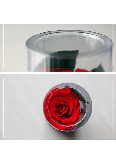 Monyee Sürekli Gül Hediyelik Kutusu - Kırmızı Uzun Boycanlı Canlandırabilecek Doğal Gül, Sevgi Ve Arkadaşlık Semboli, Romantik Dekorasyon İçin Uygun