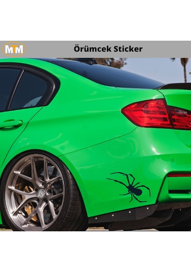 Örümcek Oto Sticker 15 Cm