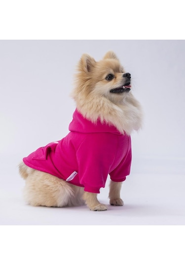 Pettrend Tavşan Kanguru Cepli Kedi-Köpek Hoodie Sweatshirt