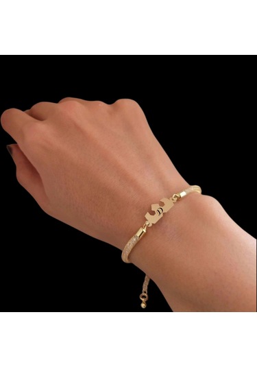 Archin D Harfine Özel Taç Motifli 14 Ayar Altın Plakalı Hasır Kordonlu Hediye Bileklik-461harf D