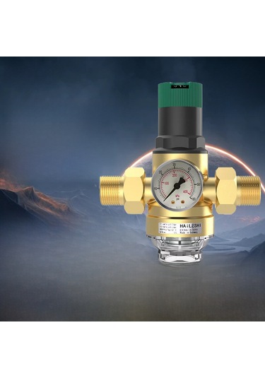 Geeroyoo Tane Çinko Bakır Çift Bağlantı Su Basıncı Azaltıcı, Honeywell Kalitesi, Filtre Ağ Ve Pc Şişe İle Endüstriyel Tesisler İçin