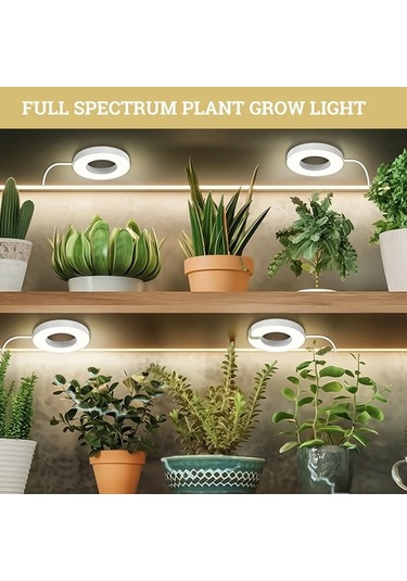 Willowhaven Hotu 4 Head Led Dekoratif Işık Usb Bağlantılı Zamanlayıcı Kırmızı Mavi Beyaz Işık Ayarı Füme