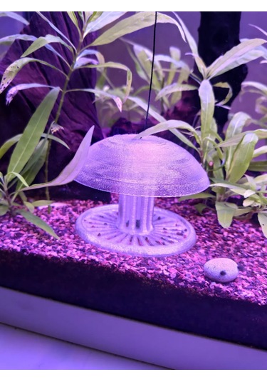 Pureysma Akvaryum Salyangoz Tuzağı Şeffaf Etkili Tuzak + Dekoratif Akvaryum