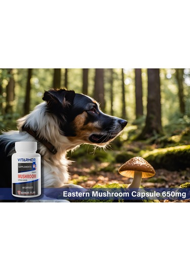 Vıtarmor Supplements Mushroom Kedi & Köpek Bağışıklık Sistemi Destekleyici