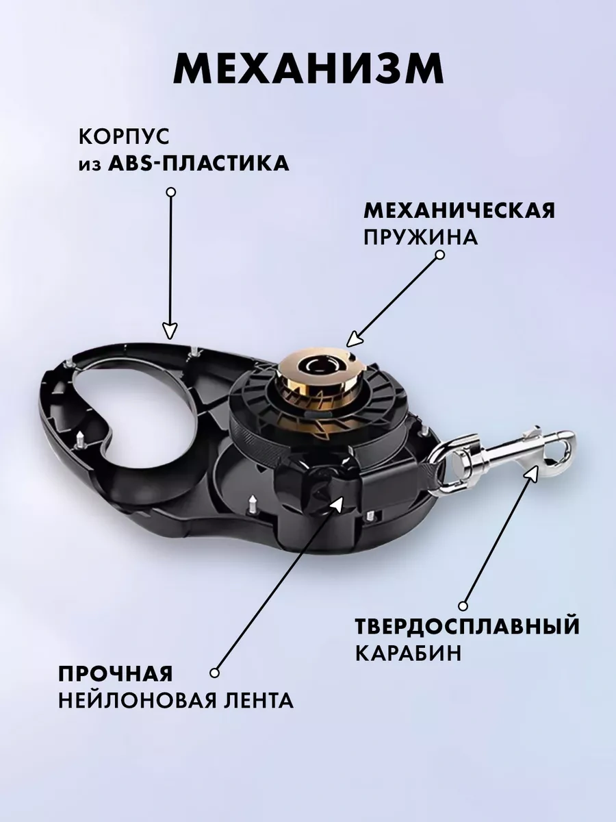 Purrfect Place 5 M Otomatik Tasma 206066316 Mavi