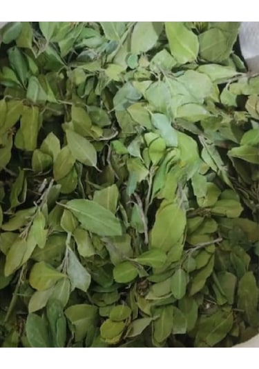 Sidr Yaprağı Zizyphus Spina ,arabistan Kirazı Yaprağı, 250gr, Derya Eren