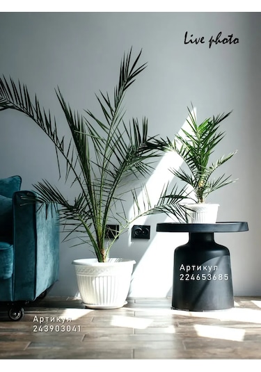 La Decoro İç Mekan Çiçekleri İçin Saksı, Çiçek Saksısı, Saksı 351230822