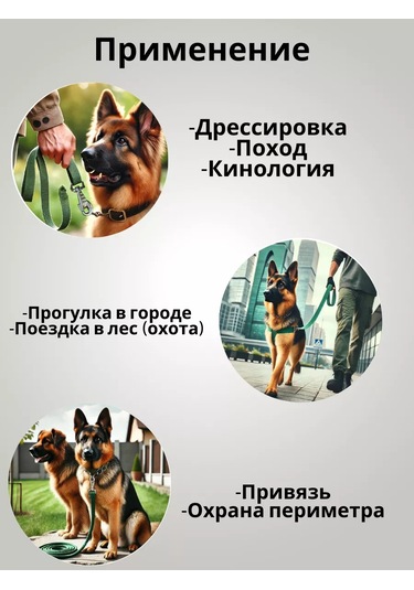 Tehpro44 10 Metre Güçlendirilmiş Köpek Gezdirme İpi Kanvas 151493158 Yeşil