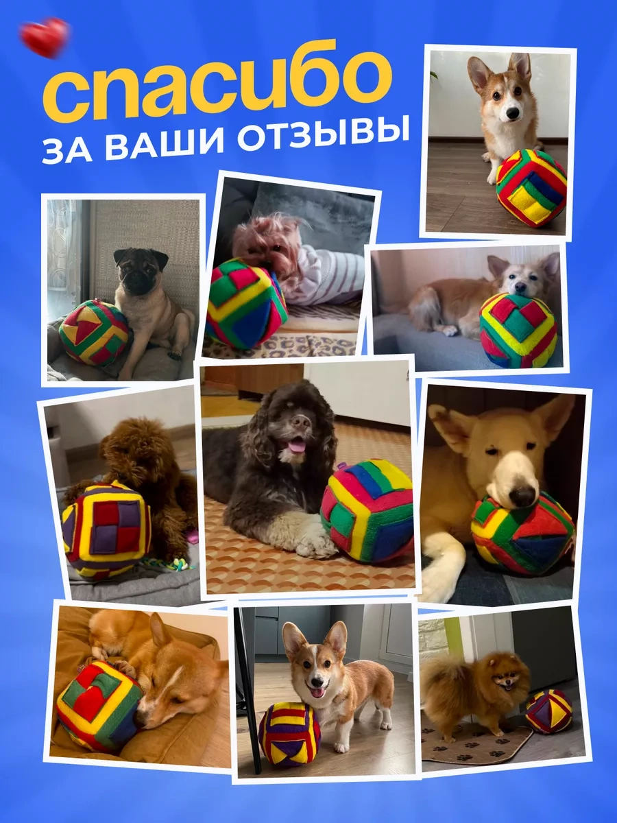 Prıvereda Husnutoyleştirme Küpü, Köpekler İçin Geliştirme Oyuncağı 119645267