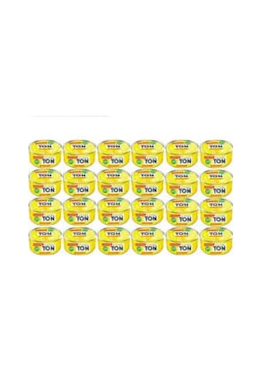 Dardanel Ekonomik Ton Balığı 24 x 80 G