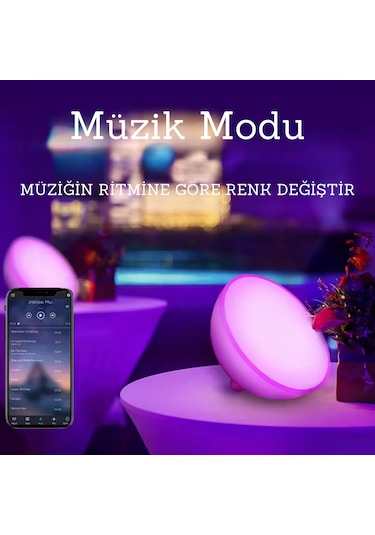 Ambians Go Taşınabilir Şarjlı Smart Küre