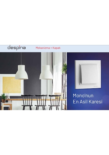 Beyaz Anahtar Mono Despina Çerçeve Dahil