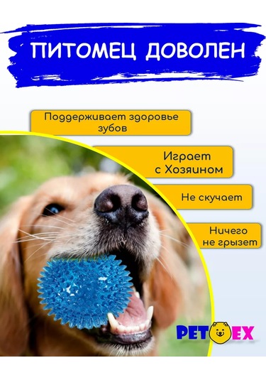 Pet-ex 9 Cm Dikenli Köpek Topu 193079120