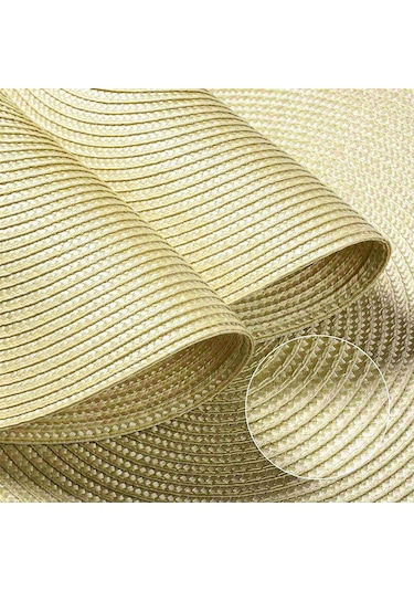 Xiaaokeji Yuvarlak Örgülü Amerikan Servis Takımı 6'lı Masa Örtüsü 15 İnç Bej Bej