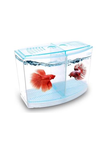 Atlantik Betalık 9x19x14cm 1800 Ml Beta Tank