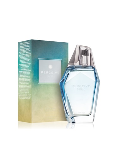 Avon Perceive Soul Erkek Parfüm EDT 100 ML Fiyatları ve Özellikleri