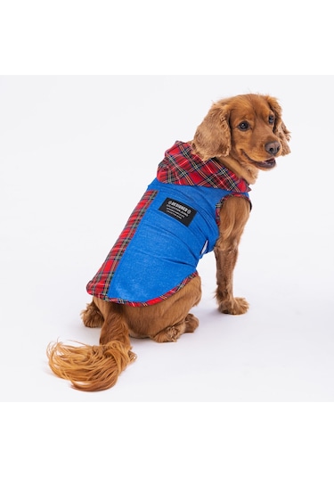 Pawstar Denim & Plaid Kedi Köpek Gömleği