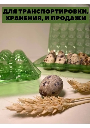 Tpt 20 Gözlü Bıldırcın Yumurtası İçin Tepsi - 20 Adet 101068142 Smaragd Yeşili