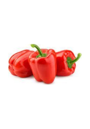 150 Adet Tohum Nadir Kırmızı Dolmalık Biber Tohumu Saksı Toprak Sürpriz Hediye Tohumlu