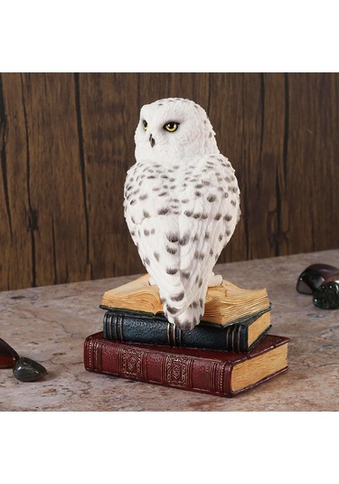 Kitap Üzerinde Beyaz Kar Baykuşu Hedwig Biblosu - Harry Potter