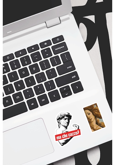 Art Sanat Dekoratif Laptop Notebook Tablet Telefon Sticker Set 18