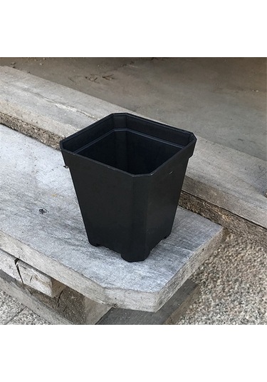 100 Adet Bitki Tek Kullanımlık Çiçek Saksısı Küçük Siyah Kare Kesme Fide Plastik Kare Saksı