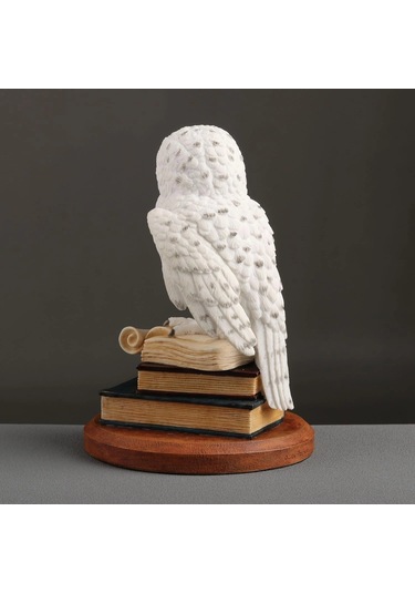 Kitap Üzerinde Beyaz Kar Baykuşu Hedwig Biblosu