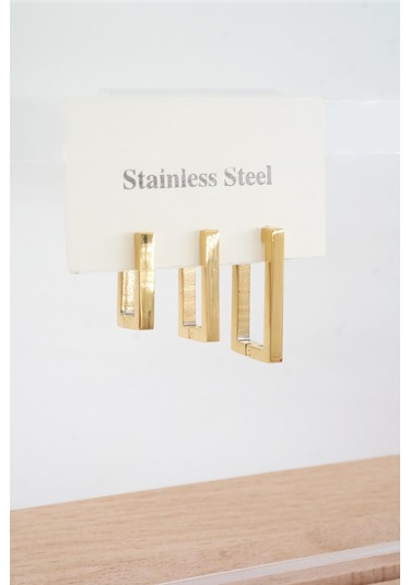 Kadın Vip Seri 316 L Paslanmaz Çelik Didörgen Model 3'lü Küpe Seti 001