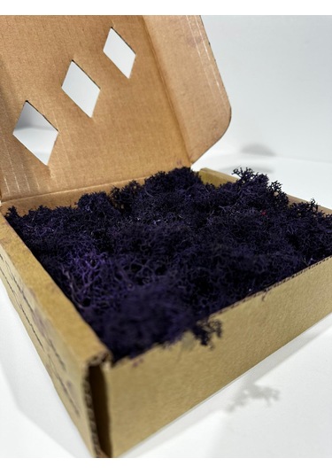 Reindermoss Şoklanmış Norveç Yosunu Terarium Yosunu Mor 100 Gr.
