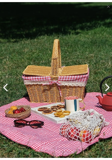Sepetçibaba Adelya - Piknik Sepeti Plastik Hasır Görüümlü - Frs20